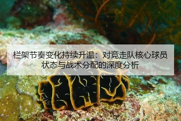 栏架节奏变化持续升温：对竞走队核心球员状态与战术分配的深度分析